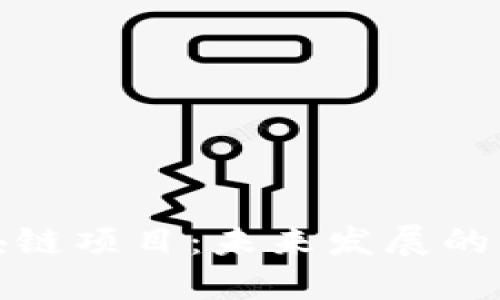 王欣的区块链项目：未来发展的悬念与机遇