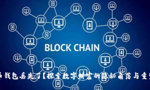 比特币钱包丢失了？探索数字财富的隐秘角落与重生之路