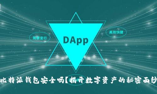 比特派钱包安全吗？揭开数字资产的秘密面纱