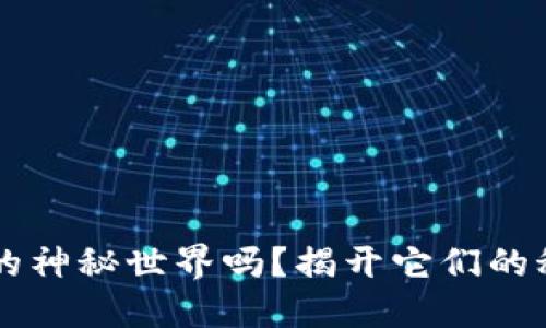 你了解比特币钱包的神秘世界吗？揭开它们的秘密，你将收获什么？