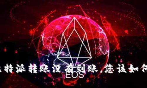 如果比特派转账没有到账，您该如何处理？