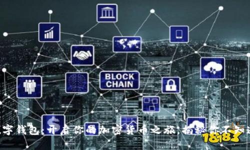 区块链数字钱包：开启你的加密货币之旅，揭秘你不知道的秘密！