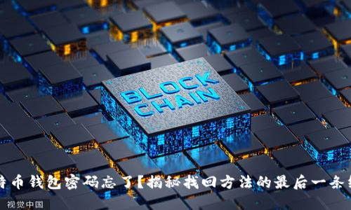 比特币钱包密码忘了？揭秘找回方法的最后一条线索