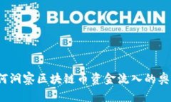 如何洞察区块链币资金流