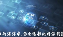 在数字货币的海洋中，你