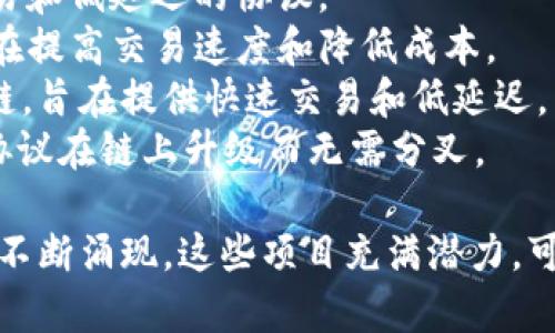 以下是一些区块链领域的最新试验项目名称（截至2023年10月）：

1. **Ethereum 2.0**：以太坊网络的重大升级，旨在提高网络的可扩展性和安全性。
2. **Polkadot**：一个多链框架，允许不同区块链之间进行互操作。
3. **Cardano**：一个以科学方法为基础设计的智能合约平台，致力于提供可持续的区块链解决方案。
4. **Solana**：高性能的区块链技术，专注于快速和低成本的交易。
5. **Polygon (MATIC)**：专注于以太坊的扩展和互操作性的二层解决方案。
6. **Algorand**：提供快速交易和低费用的区块链，集中于金融应用和去中心化金融（DeFi）。
7. **Avalanche**：支持多个区块链网络的快速交易和低延迟的协议。
8. **Arbitrum**：以太坊的二层扩展解决方案，旨在提高交易速度和降低成本。
9. **Fantom**：侧重于 DeFi 应用的高性能区块链，旨在提供快速交易和低延迟。
10. **Tezos**：强调自我修正功能的区块链，允许协议在链上升级而无需分叉。

请注意，区块链技术发展非常迅速，新的项目和升级不断涌现。这些项目充满潜力，可能会在未来改变金融、交易和数据管理等多个领域。