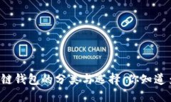 区块链钱包的分类与选择