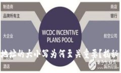 虚拟币钱包地址的大小写