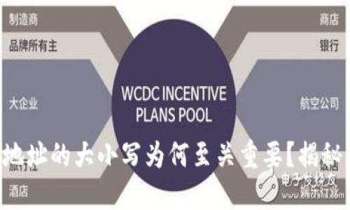 虚拟币钱包地址的大小写为何至关重要？揭秘背后的秘密！