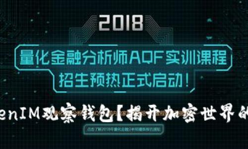 如何用TokenIM观察钱包？揭开加密世界的神秘面纱！