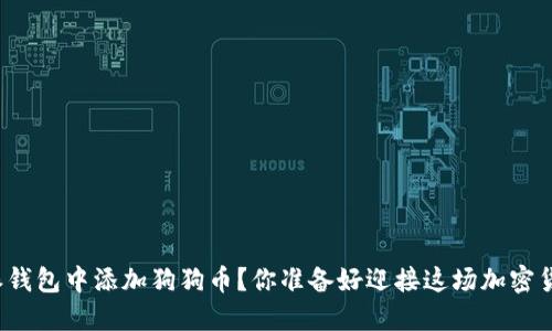 如何在比特派钱包中添加狗狗币？你准备好迎接这场加密货币之旅了吗？