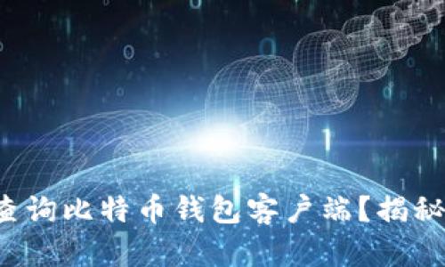 如何高效查询比特币钱包客户端？揭秘使用技巧！