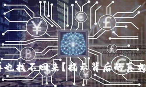 被骗了钱，再也找不回来？揭示背后的真相与应对之道