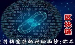 揭开上海区块链传销案件