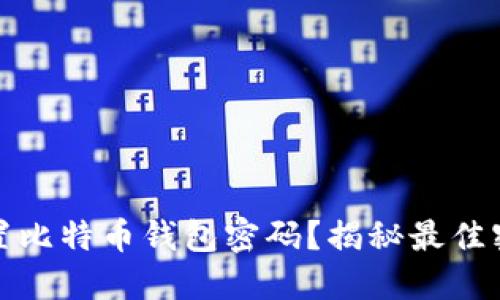 如何安全设置比特币钱包密码？揭秘最佳密码保护技巧