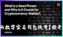 如何找回你的数字实名钱包账号？揭开背后的秘