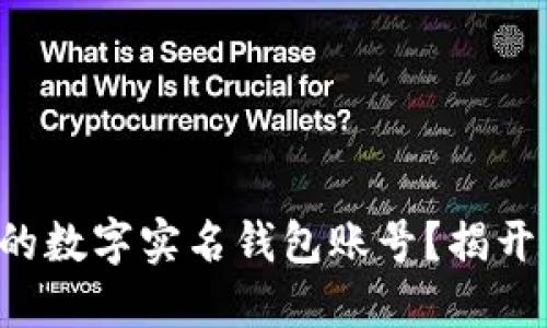 如何找回你的数字实名钱包账号？揭开背后的秘密！