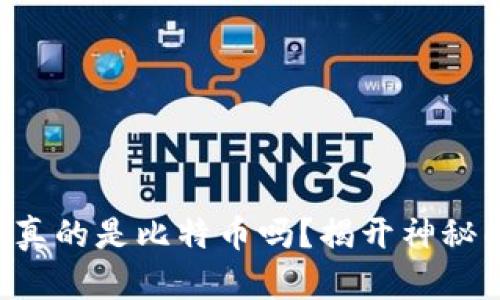 区块链技术真的是比特币吗？揭开神秘面纱的真相！