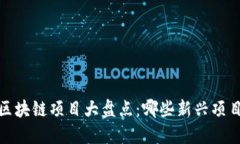 2023年美国区块链项目大盘