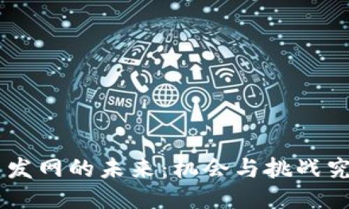 区块链ICO币发网的未来：机会与挑战究竟如何交织？