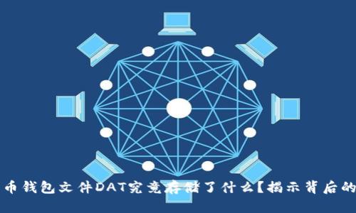 比特币钱包文件DAT究竟存储了什么？揭示背后的秘密