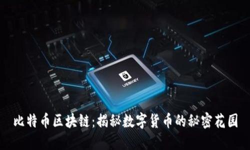 比特币区块链：揭秘数字货币的秘密花园