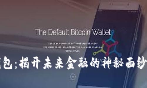 去中心化数字钱包：揭开未来金融的神秘面纱，您准备好了吗？