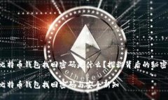 比特币钱包找回密码是什么？探秘背后的秘密！