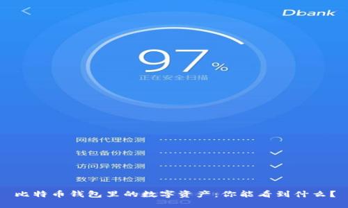 比特币钱包里的数字资产：你能看到什么？