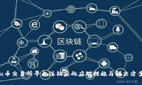 u币交易所平台注销后的应对措施与解决方案