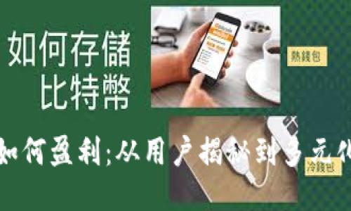 小狐钱包如何盈利：从用户揭秘到多元化赚钱模式