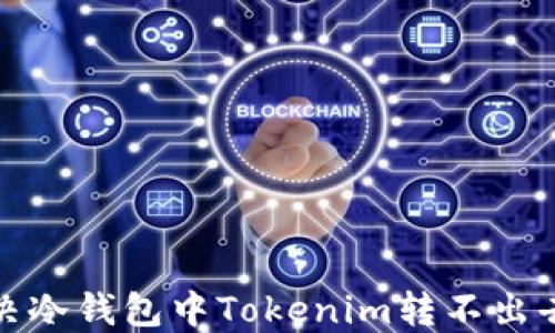 
如何解决冷钱包中Tokenim转不出去的问题