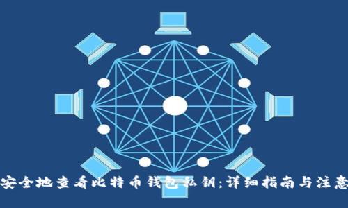 如何安全地查看比特币钱包私钥：详细指南与注意事项