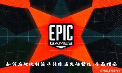 如何应对比特派币转账丢失的情况：全面指南