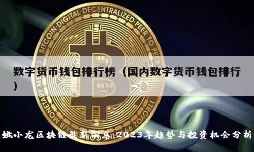姚小龙区块链最新消息：2023年趋势与投资机会分析