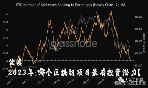 优质  
2023年：哪个区块链项目最有投资潜力？