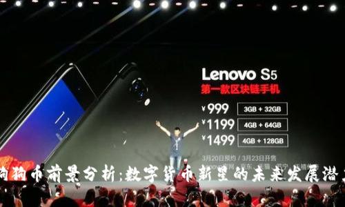 狗狗币前景分析：数字货币新星的未来发展潜力