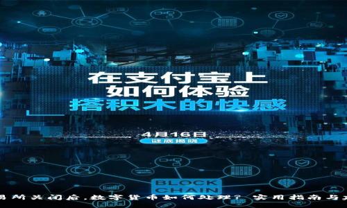 交易所关闭后，数字货币如何处理? 实用指南与建议