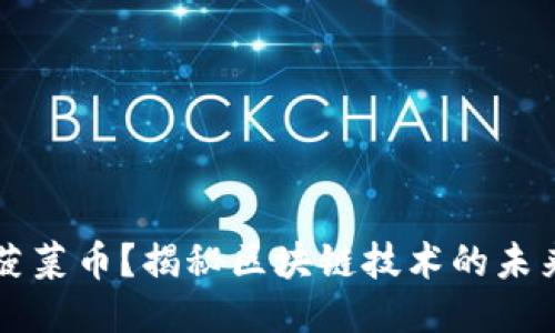 什么是菠菜币？揭秘区块链技术的未来与潜力