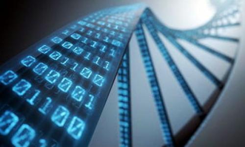    如何将OKEx的USDT提取到个人钱包  / 

 guanjianci  USDT提取, OKEx操作, 加密货币, 数字钱包  /guanjianci 

## 内容主体大纲

1. **前言**
   - 数字货币的发展与普及
   - USDT的作用与价值

2. **了解USDT及其用途**
   - 什么是USDT？
   - USDT的稳定性与应用场景

3. **注册和验证OKEx账户**
   - 注册步骤
   - 身份验证的重要性与流程

4. **准备提取USDT**
   - 选择合适的钱包
   - 如何获得钱包地址

5. **提取USDT的步骤**
   - 登录OKEx账户
   - 导航到USDT提取页面
   - 填写提取信息

6. **手续费与到账时间**
   - 交易手续费的计算
   - USDT到账的时间参考

7. **可能遇到的问题及解决方案**
   - 常见错误与解决方式
   - 提取失败的原因分析

8. **安全性与风险提示**
   - 防范黑客攻击
   - 保护个人信息与资产

9. **总结**
   - 重申提取流程与注意事项
   - 鼓励安全使用数字货币

## 内容

### 1. 前言

随着数字货币的不断发展，越来越多的人开始涉足这一领域，普通用户也逐渐参与到加密资产的交易和管理中。而在众多的数字货币中，USDT（Tether）因其稳定性而备受欢迎。USDT是一种锚定美元的稳定币，广泛应用于交易所和个人钱包之中。对于新手用户而言，将USDT从交易所提取到个人钱包是一个重要的环节，本文将为大家详细介绍如何将OKEx的USDT提取到个人钱包。

### 2. 了解USDT及其用途

USDT是一种基于区块链技术的稳定数字货币，最初由Tether公司发行。与其他数字货币不同，USDT的价值始终与美元保持1:1的比例，因此被称为“稳定币”。这种特点使得USDT成为用户进行交易时的一种安全选择，尤其是在市场波动较大的时候。利用USDT，用户可以有效地规避市场风险，保持资产价值。除了作为交易媒介，USDT还可以用于购买商品、服务，以及参与DeFi（去中心化金融）项目。

### 3. 注册和验证OKEx账户

在提取USDT之前，首先需要在OKEx平台注册一个帐户。注册过程并不复杂，只需提供有效的电子邮件地址和设置一个密码。其次，完成身份验证是开启账户功能的关键步骤，包括上传身份证明文件等。这不仅可以提升账户的安全性，也符合相关法律法规要求。在完成身份验证后，用户可以安心地操作USDT的提取等各种功能。

### 4. 准备提取USDT

提取USDT之前，用户需要选择一个合适的钱包。数字钱包有很多种类，包括热钱包和冷钱包。热钱包是联网的，方便交易，但相对不够安全，而冷钱包则是离线的，更加安全。提取USDT时，用户需在钱包中生成一对公钥和私钥，并获取钱包地址。务必要确保该地址的准确性，因为一旦输错，USDT将永远无法找回。

### 5. 提取USDT的步骤

提取USDT的具体步骤如下：首先，用户需要登录到OKEx账户，在首页找到“资产”选项，选择“提取”。然后，从提取选项中找到USDT，并点击进入。在页面中，用户需要输入提取金额和此前准备好的钱包地址。确认无误后，提交申请。通常情况下，提取请求会在几分钟内处理完成，用户可通过交易记录查看进度。

### 6. 手续费与到账时间

在提取USDT时，用户需要注意相关的手续费。一般来说，交易所的手续费由其内部政策决定，可能会随市场波动而调整。在这点上，用户应提前了解，以免产生不必要的费用。此外，USDT到账的时间也是用户需要关注的问题。根据网络状况和区块链确认时间，提取的USDT通常会在数分钟到一小时内到账。

### 7. 可能遇到的问题及解决方案

在提取USDT的过程中，用户可能会遇到账号验证未通过、钱包地址错误等问题。对于账号验证未通过的情况，建议用户重新核对上传材料，必要时联系OKEx客服。而如果是钱包地址错误，用户则需谨记先确认并保存好地址。若出现提取失败，用户需查看交易状态，确定是由于网络还是内部问题导致，一般情况下，联系客服可以得到更详细的解答。

### 8. 安全性与风险提示

安全性永远是数字货币操作中的首要问题。用户在提取USDT前应确保其账号被妥善保护，启用双重验证等安全措施。此外，增强个人信息保护意识，切勿轻信任何形式的钓鱼链接和电话诈骗。定期检查数字钱包的安全性，以防黑客攻击。

### 9. 总结

将USDT从OKEx提取到个人钱包的流程相对简单，但各个步骤都需要用户认真对待，通过本文的介绍，相信您已经对提取流程有了全面的了解。在进行数字货币交易时，一定要保持理性，合理规划自己的投资方式，确保资产的安全。

## 相关问题及解答

### 问题1：如何选择合适的数字钱包？

如何选择合适的数字钱包？

选择数字钱包的关键在于其安全性、易用性和所支持的币种。首先，如果您是长期投资者，建议使用冷钱包，因为它们更安全。对于频繁交易的用户，则可以选择热钱包，方便快速交易。同时，确保所选钱包支持USDT，并检查其用户评价和安全记录。

为了提升安全性，用户在选择钱包时应考虑几个因素，包括私钥管理、备份方案以及多重签名功能。确保钱包的开发团队拥有良好的行业声誉，以降低潜在风险。此外，定期更新钱包软件，使用强密码及双重验证等方法，都会提高资产的安全性。

最后，投资者也可以考虑使用多个钱包，以分散风险。例如，可以将大部分资产存储在冷钱包中，仅将一部分资金放在热钱包中进行日常交易。这样可以在保护资金安全的同时，满足日常需求。

### 问题2：转账失败的常见原因有哪些？

转账失败的常见原因有哪些？

在提取USDT或任何数字货币时，转账失败的原因可能有很多。首先，最常见的原因是钱包地址错误。确保您输入的地址是有效、完整的。如果输入错误，您的资金可能会永久丢失。

其次，账户验证未通过也是导致转账失败的原因之一。若您没有通过身份证明等安全审核，交易所将不允许您进行提取。此时，您需查看验证状态或重新提交有关材料。

网络延迟也是转账失败的一个关键因素，尤其在高峰时段，网络拥堵可能导致交易被延迟或失败。因此，建议在网络流量较低的时段进行交易。类似地，区块链上的不可预见的技术问题也可能导致转账失败，用户应在交易所的公告栏中查看相关消息。

考虑到手续费变化，用户也应确保账户中有足够的余额以支付相关费用。如果余额不够，甚至可以导致交易失败。

### 问题3：提取USDT时应注意哪些安全事项？

提取USDT时应注意哪些安全事项？

在提取USDT时，用户须注意一系列安全事项。第一步是确保自己的账户启用了双重验证，提供额外的安全保障。建议使用较强的密码，并定期更改密码以防止账户被入侵。

其次，确保网络环境安全，尽量避免在公共Wi-Fi网络中进行任何交易。使用VPN等安全工具保护传输中的信息。此外，妥善保管您的私钥，切勿泄露给其他任何人。

用户也应定期检查钱包的交易历史，留意任何可疑或未经授权的交易。如果发现异常，应尽快更改密码并联系客服。

最后，培养防止钓鱼攻击的意识，确保从官方渠道登录交易所官网，避免访问不明链接和应用。务必使用自己熟悉的设备而非借用他人设备以增强安全防范。

### 问题4：OKEx的USDT提取手续费是多少？

OKEx的USDT提取手续费是多少？

在提取USDT时，用户常常关注提取手续费。OKEx的手续费通常依据市场动态及交易所政策变化，您可以在官方网站上查看最新的收费标准。一般来说，提取加密货币时，手续费是基于提取数量设定的，而在不同时间段和活动下，手续费可能存在优惠。

为了在提取时避免不必要的损失，用户应提前了解相关费用。检查提取界面，会有相关手续费的提示信息。提取USDT时的手续费是相对固定的，但请注意网络的拥堵情况，可能会影响提取完成的速度。

还需留意的是，用户进行大额提取时，有时会受到不同的手续费政策影响，因此用户应合理安排资金的提取。若对手续费存在疑问，建议随时与OKEx的客服沟通以获得最新的信息。

### 问题5：从OKEx提取USDT到钱包的步骤有什么常见误区？

从OKEx提取USDT到钱包的步骤有什么常见误区？

很多新手用户在提取USDT时容易犯的一些常见误区，包括未仔细核对钱包地址、忽视二次验证等。首先，确保您输入的地址是正确的，并进行仔细核对，避免因小错误导致资金损失。

一些用户可能还会忽视提取金额的限制，确保提取的金额符合最低提取要求是十分必要的。此外，用户还可能没有在提取前完成必要的身份验证，导致提取请求被拒绝。

在有些情况下，用户会遗漏确认提取请求的重要步骤。建议在确认交易前，仔细阅读任何弹出的提示信息并理解其含义。当您在提取页面操作完毕后，点击提交前，可以多次检查一下以确保无误。

总之，为了确保操作顺利，用户在提取USDT之前需做好充分的准备并了解相关流程，确保每一步都能仔细把控。

### 问题6：如何确保USDT资金安全及防范风险？

如何确保USDT资金安全及防范风险？

要确保USDT的资金安全，用户需要重视安全策略。从选择可靠的交易所开始，确保其运营历史和声誉卓越，才能降低潜在的安全隐患。同时，务必使用强密码并定期更换，建议使用字母、数字和特殊字符组合以构成复杂的密码。

此外，启用双重验证功能可以增强账户的安全性。在进行交易时，杜绝在公共Wi-Fi网络下的操作，确保网络环境的安全是至关重要的。在不信任的设备上登录账户是极其危险的，因此，尽量使用个人私有设备进行交易。

此外，用户也需注重私人钥匙的安全存储，切勿将其分享给他人。对于冷钱包的用户，在备份私钥时，选择防水、防火材料存储备份也很有必要。

最后，定期检查交易记录以监测账户安全，一旦发现异常活动，及时采取措施，比如修改密码、联系客服等，确保自身资产不受损失。

### 问题7：USDT的市场波动如何影响提取策略？

USDT的市场波动如何影响提取策略？

USDT作为一种稳定币，其相对稳定性在很大程度上降低了市场波动对资金的直接影响。然而，尽管USDT的价值与美元保持1:1的联系，但在极端市场情况下，比如重大新闻事件和市场恐慌时，其交易流动性和市场深度可能会受到影响。

在提取市场波动较大的时候，用户应对整体市场行情进行评估。在市场流动性不足时，提取USDT可能会出现较大的延迟，因此用户在选择提取时间时应更加谨慎。

此外，用户可将提取时间与市场分析结合起来，选择在低波动时期进行提取。资源丰富的用户也可根据市场情况调整提取的数量，以减轻市场风险对资金的影响。

因此，保持对市场动态的关注，对成功实施提取策略十分关键。用户需持续学习相关知识，以制定出适合自己的提取方案。