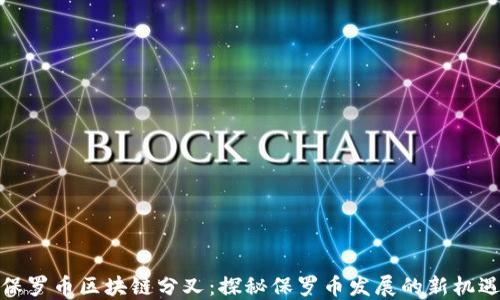 
保罗币区块链分叉：探秘保罗币发展的新机遇