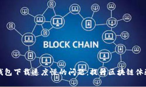 解决比特币钱包下载速度慢的问题：提升区块链体验的有效方法