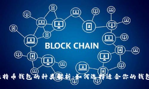 比特币钱包的种类解析：如何选择适合你的钱包？