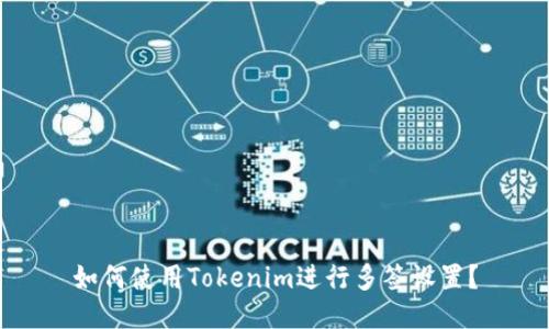 如何使用Tokenim进行多签设置？