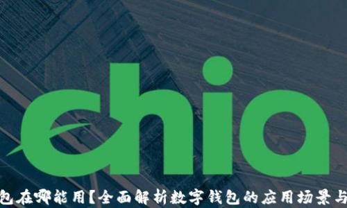 
数字钱包在哪能用？全面解析数字钱包的应用场景与安全性