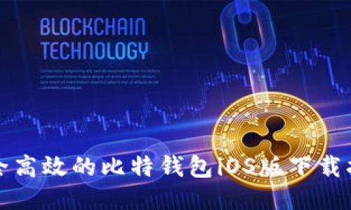 安全高效的比特钱包iOS版下载指南