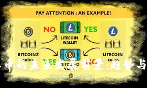 区块链派币的未来发展前景：趋势与挑战分析