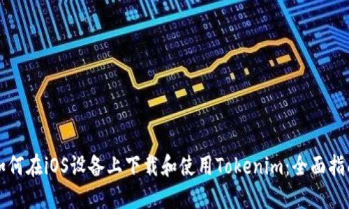 如何在iOS设备上下载和使用Tokenim：全面指南