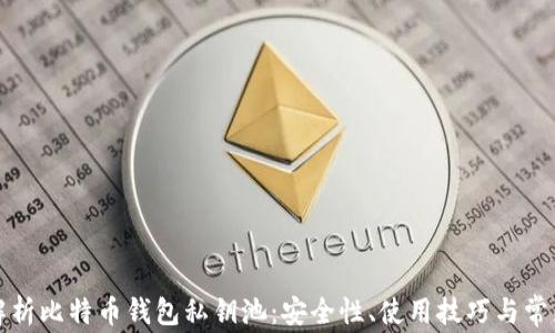 
全面解析比特币钱包私钥池：安全性、使用技巧与常见问题