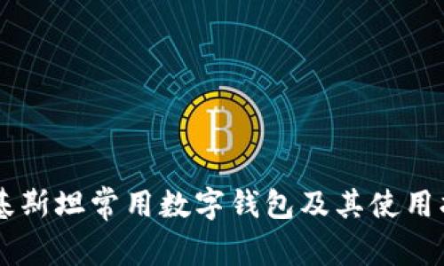 巴基斯坦常用数字钱包及其使用指南